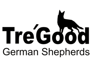 Tre Good German Shepherds - Breeding and Training Dogs