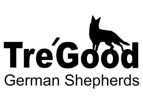 Tre Good German Shepherds - Breeding and Training Dogs